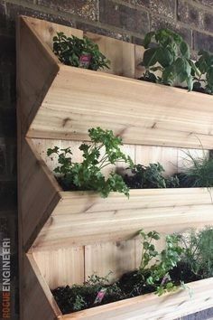 Diy Concept Hanging Wall Planters Outdoor