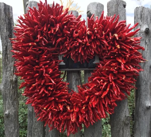 God Is Messing With Me, Again