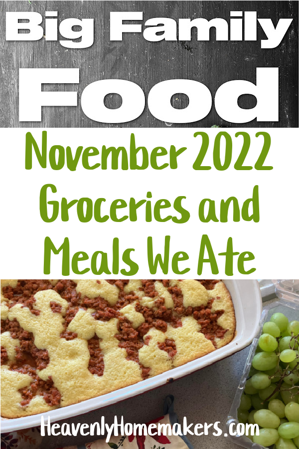 November 2022 Groceries and Meals We Ate