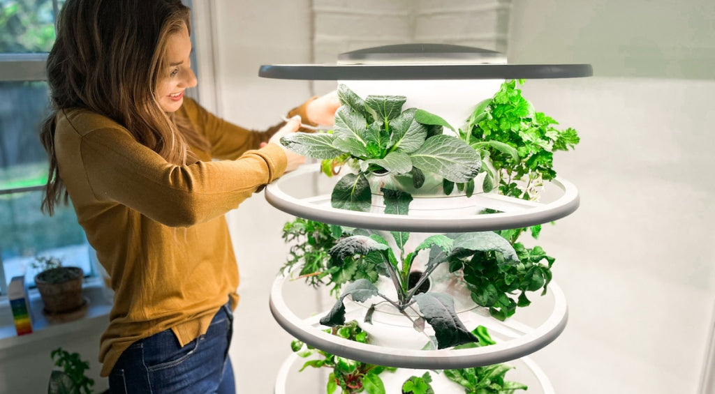 My Honest Review of the Lettuce Grow Hydroponic Garden (Score $50 OFF + Free Shipping)