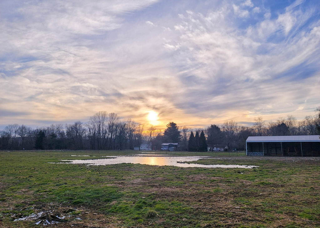 The Little Things Newsletter #352 – Life, laughter, and lots of great food!