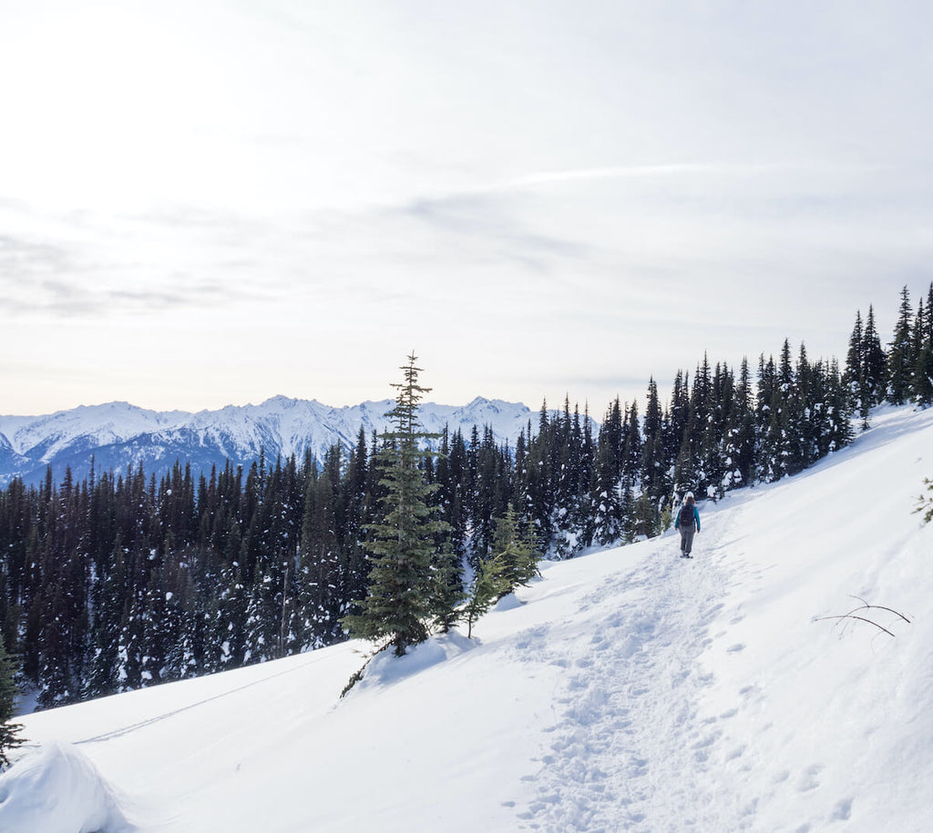 8 Amazing Washington Snowshoeing Routes