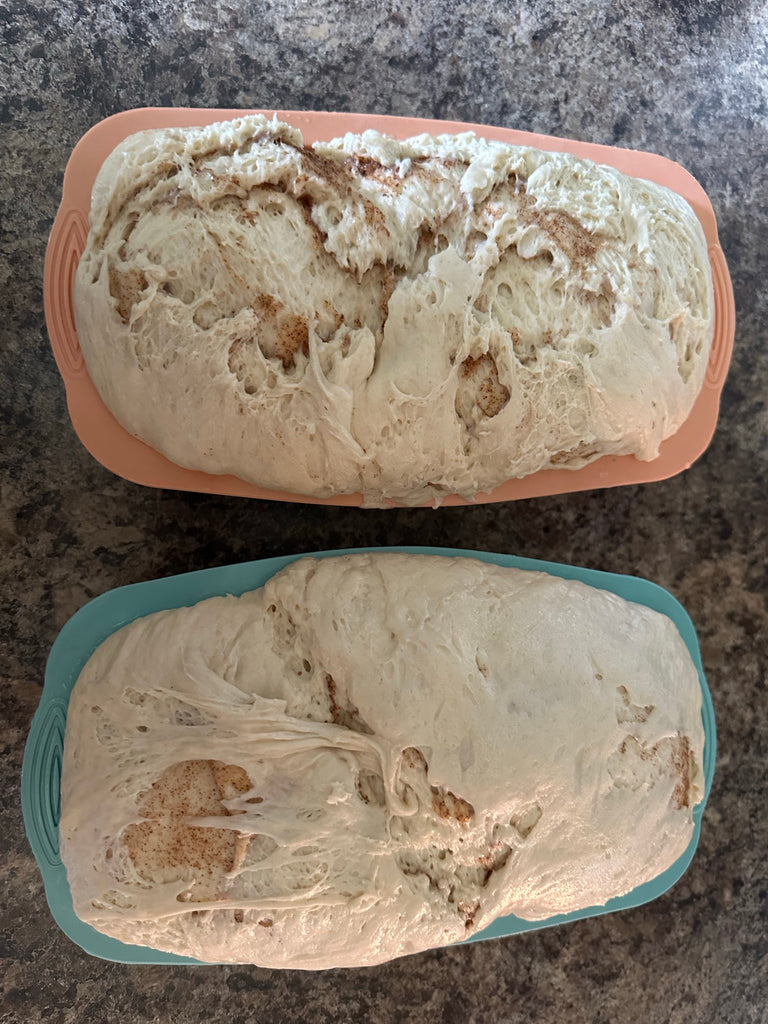 Sourdough cinnamon Bread