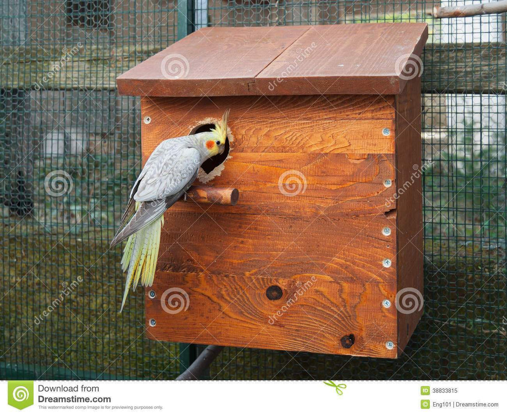 Cottage Cockatiel Nest Box