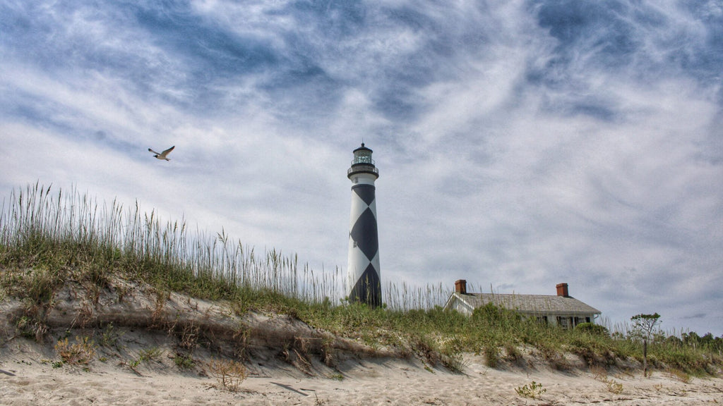 Top 3 Reasons Movers Have Carolina on Their Minds