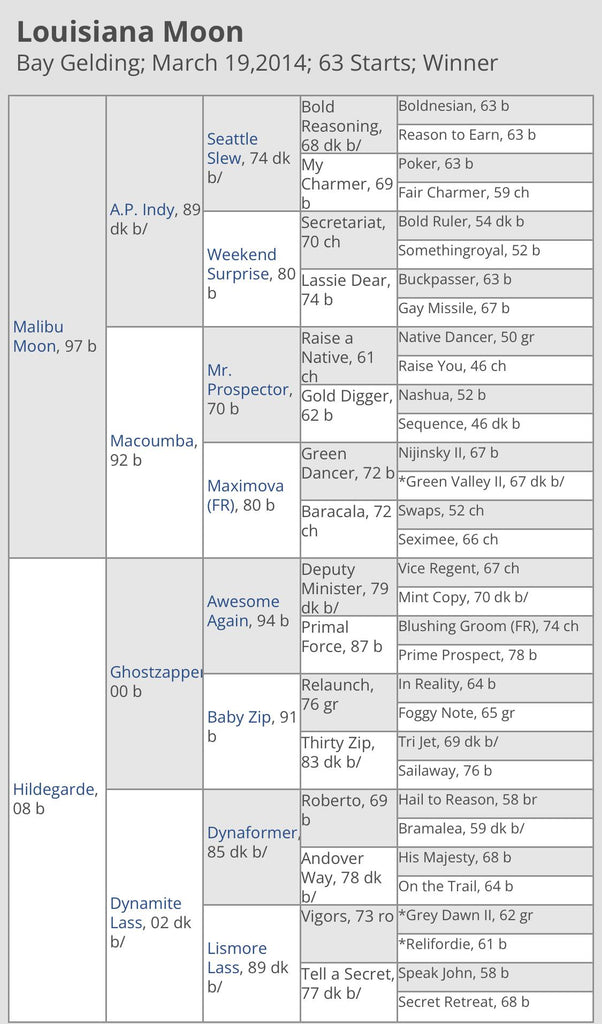 Thoroughbred Logic: Does Size Really Matter?