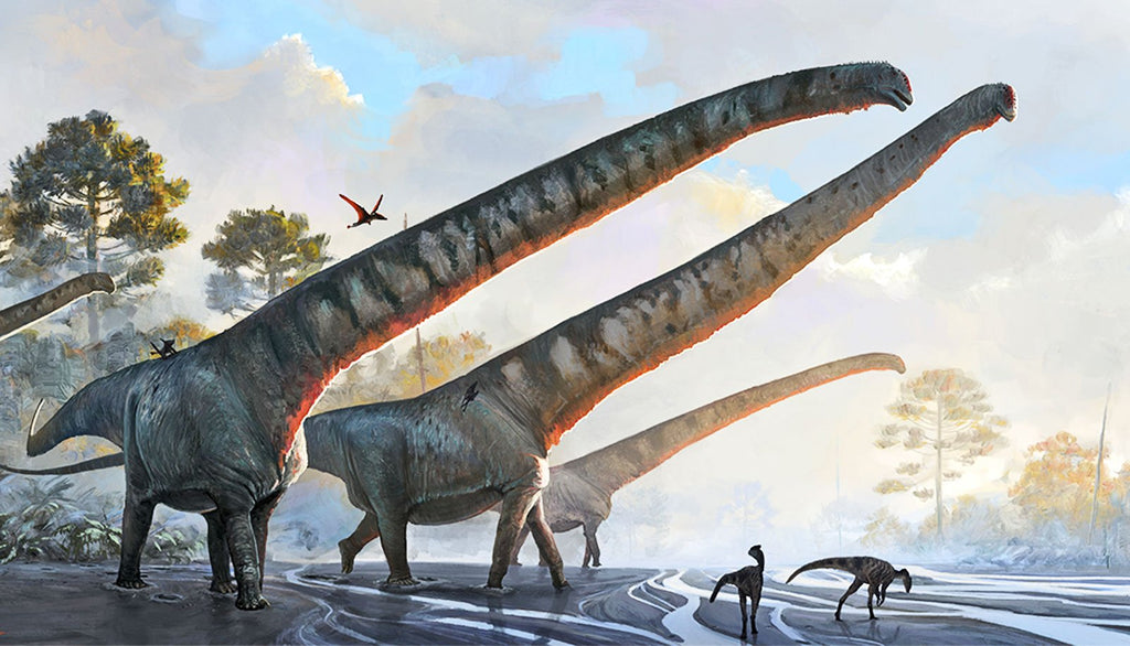 Sauropod Neck Was 10 Feet Longer Than a School Bus