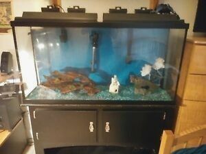 Inspiration 50 Gallon Fish Tank Stand