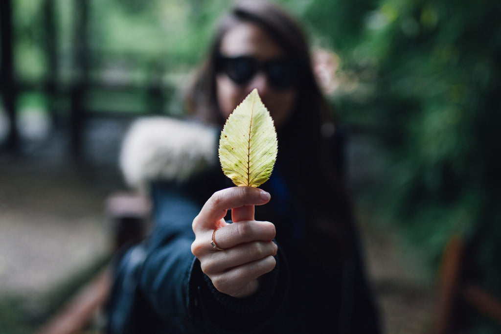 Making Money/Protecting the Planet — Joining Those Divergent Desires