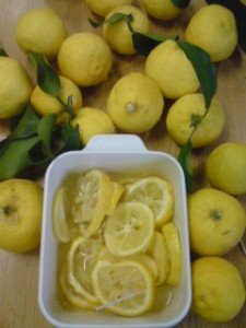Tsukuba`s Ubiquitous Winter Citrus Fruit- The YUZU ( 柚子) - and how you can USE it!