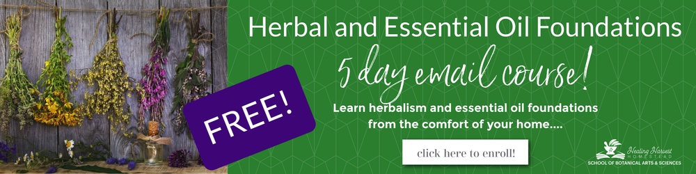 Your Survival Medicine Chest: Preparing for What May Come