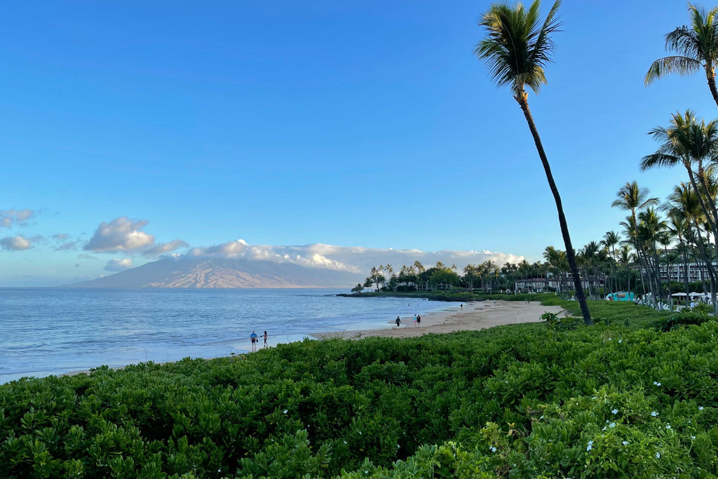 These 4 major tourist destinations now have COVID-19 booster requirements
