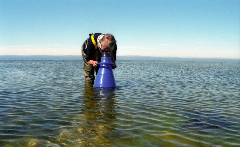 In Canada, Indigenous Communities and Scientists Collaborate on Marine Research