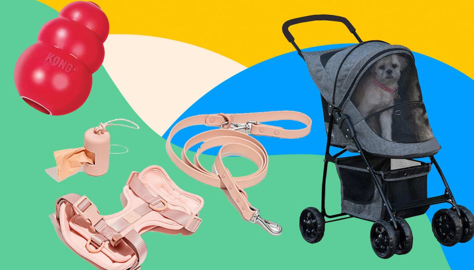 45 perfect gifts for dog lovers and owners on National Dog Day 2021