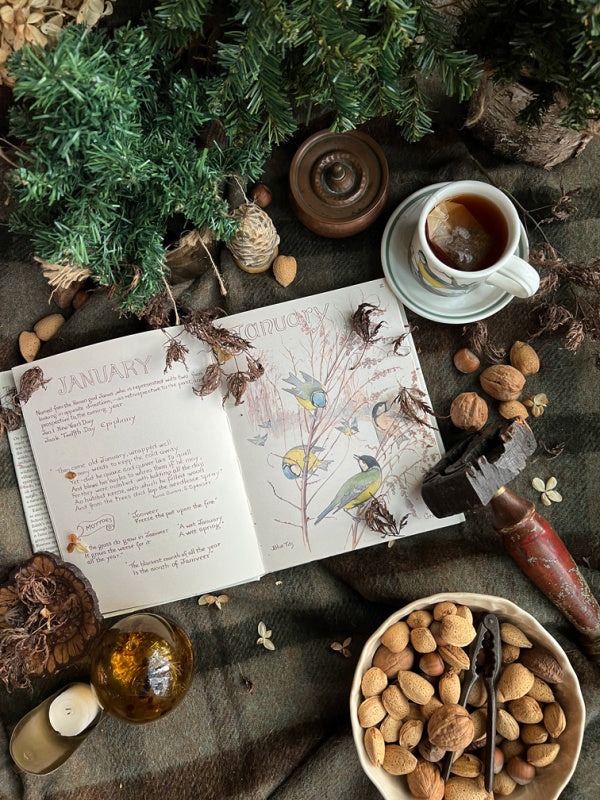 Friday Favorites No. 514 from Delish, Modern Honey, Creme de la Crumb and More.