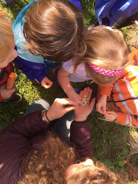 Is Hierarchy Natural?