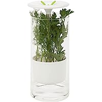 Honey-Can-Do Glass Herb Preserver only $10.49