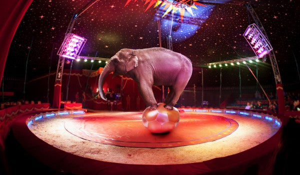 And Then There WereHow Many?