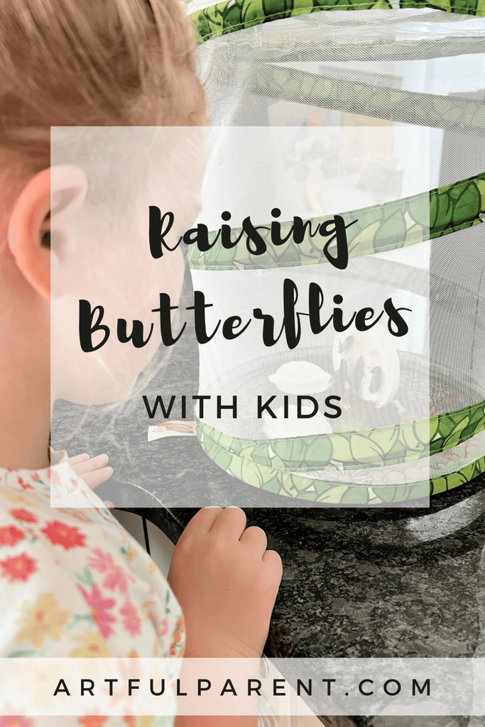 Raising Butterflies with Kids