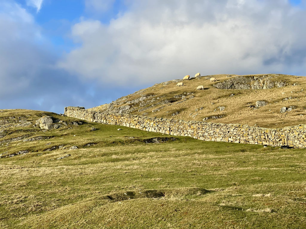 17 Things I Want To Do In 2023 – Week 15 of 52