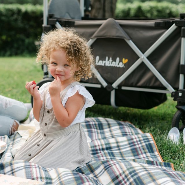 Yes, Your Child Needs a Stroller Wagon