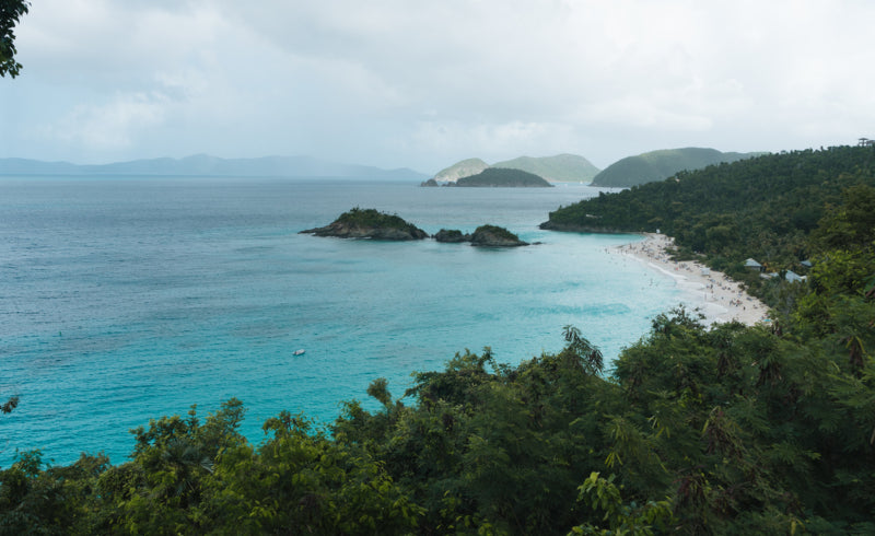 Choosing a Sustainable Way Out of the Pandemic’s Economic Chaos