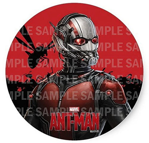Ant-man Ant Man Birthday Edible Image Photo 8" Round Cake Topper Sheet Personalized Custom Customized Birthday Party
